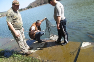 Ловно-рибарското дружество „Чардафон“ зариби с 560 кг двулетни рибета в